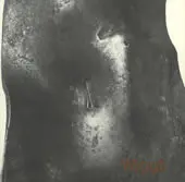 Musées des Beaux-Arts Winterthur et Soleure