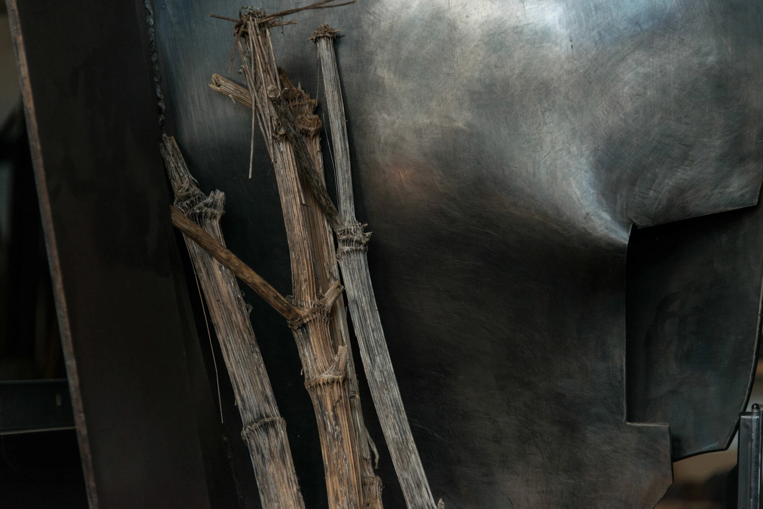 Expositions 1956-2008