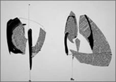 Encre de chine et collage